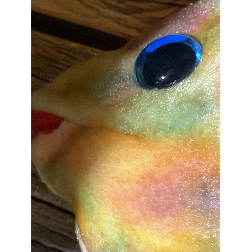 Ty Beanie Baby Aruba the Fish DOB April 8, 2000